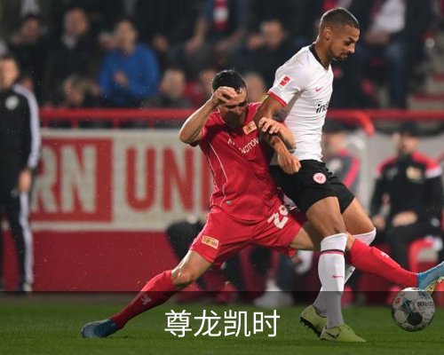 尊龙凯时简介 
